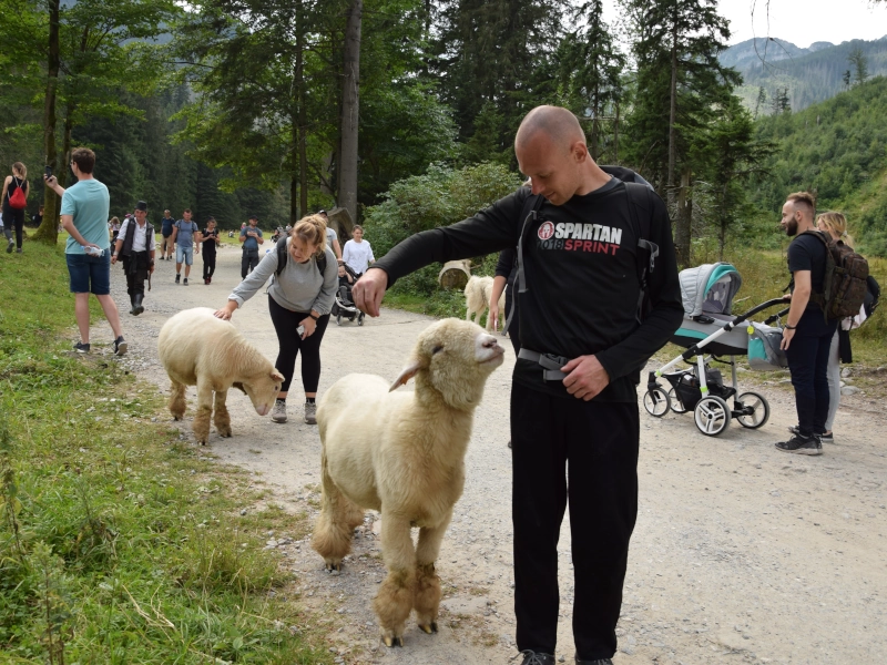 A expedição de Pedro Rei pelas montanhas Tatras da Polônia